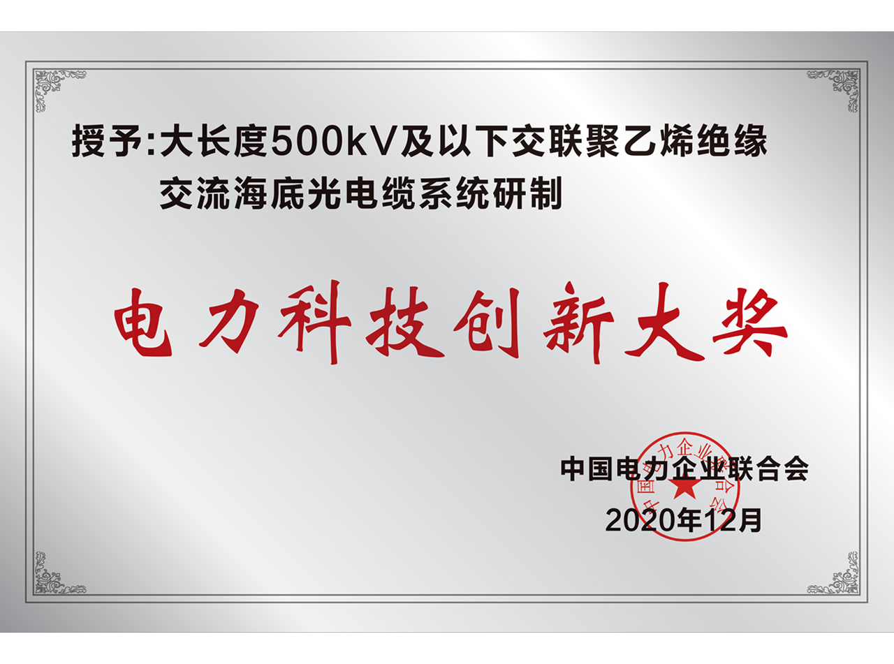 电力科技创新大奖